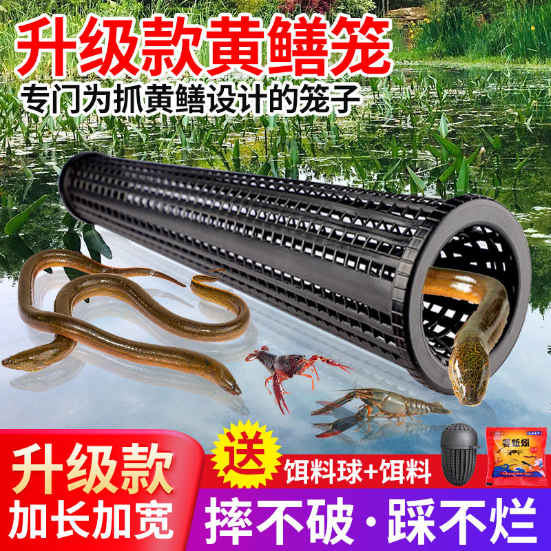 黄鳝笼子捕鱼笼鳝鱼泥鳅虾笼抓鱼笼篓倒须口一字笼喇叭口捕鳝神器