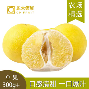 400g去白膜食用 福建黄金葡萄柚3斤单果300 芭芭农场兑换专用