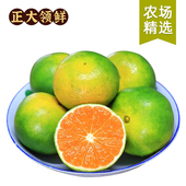 坏果包赔 口感酸爽 芭芭农场兑换专享 宜昌蜜桔3斤单果60mm