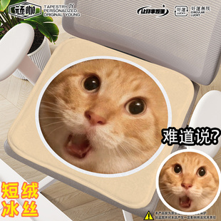 哈基米南北绿豆耄耋哈气猫难道说幼儿园座椅垫新款四季通用加绒