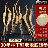 野山参老池底子参30高年头人参长白山林下参东北老山参生晒参整枝