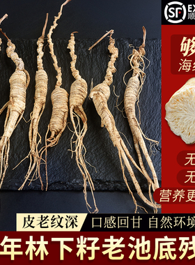 野山参老池底子参30高年头人参长白山林下参东北老山参生晒参整枝