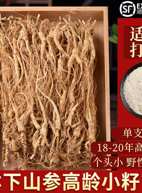 林下参小籽货长白山人参野山参打粉东北老山参干参20年煲汤泡酒