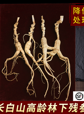 残参林下参长白山野山参人参残支吉林老山参东北20年特产泡酒打粉