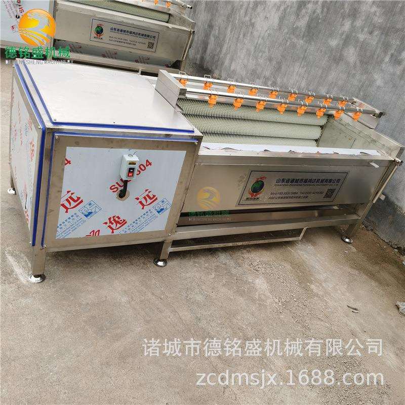 滚动式土豆去皮清洗机YZ不锈钢红薯毛刷清洗机洗芋头机器