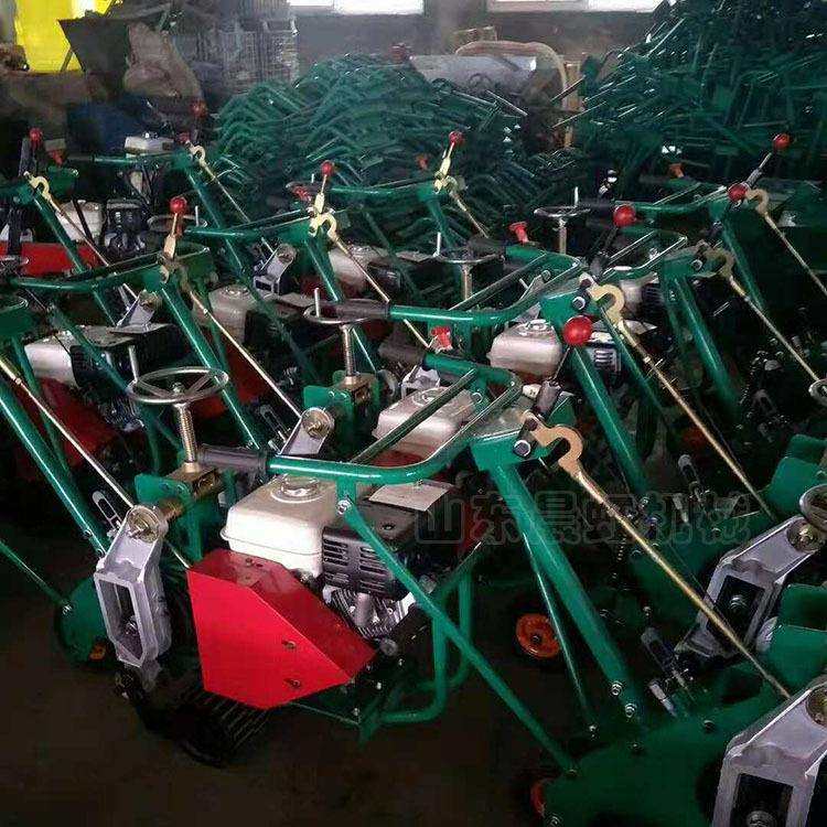 手扶式自动草坪切断机多功能草皮移植机园林割草皮机,纺织面料/辅料/配套,纺织机械配件,淘宝优惠券,粉丝福利购,淘宝优惠卷