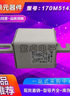 170M5142 170M5143 170M5144 170M5145 170M5146巴斯曼快速熔断器