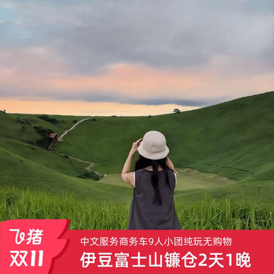 日本东京伊豆富士山2天1晚·9人小团环线-富士双湖大室山