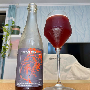 塞拉多艾尔 至死不渝2022 美式野菌艾尔 瓶装 500ml 精酿啤酒