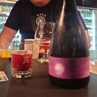 【小女贼】面纱 古老太阳「黑莓/树莓」桶陈农舍艾尔  精酿啤酒