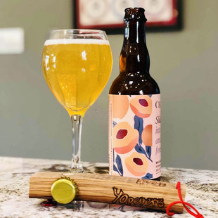 【小女贼】塞拉多艾尔 窖藏挚友2021 美式野菌艾尔 瓶装 精酿啤酒