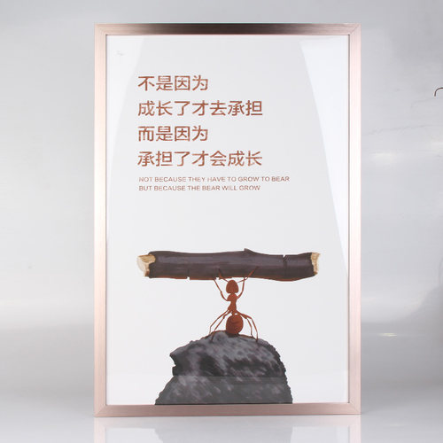 画框装裱挂墙写真海报可定制