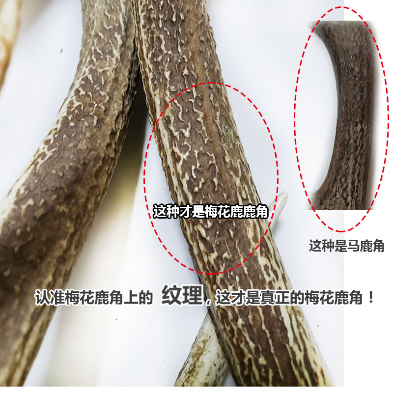 l保真250克梅花鹿鹿角一物一图具体称重自然脱落鹿角鹿硬角包邮新