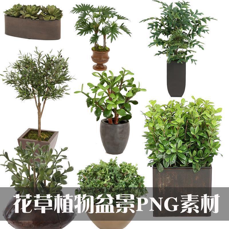 绿植花卉花草植物盆景png免抠素材图片ps教材psd源文件素材库