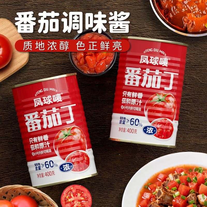 凤球唛番茄丁400g番茄罐头家用