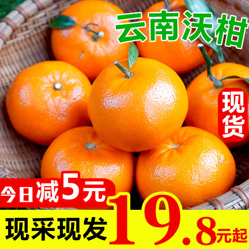 云南沃柑橘子桔新鲜当季水果皇帝贡斤非广西武鸣10砂糖沙整箱纯甜
