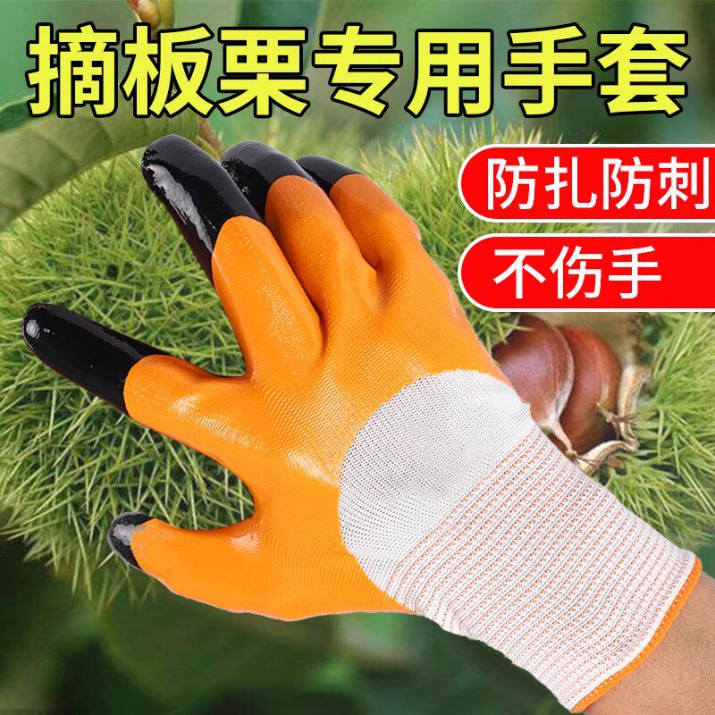 摘板栗专用防刺手套防扎加厚园艺防刺伤花椒月季防割劳保手套防水