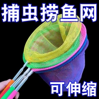 兒童撈魚網公園撈蝌蚪金魚捕蝴蝶