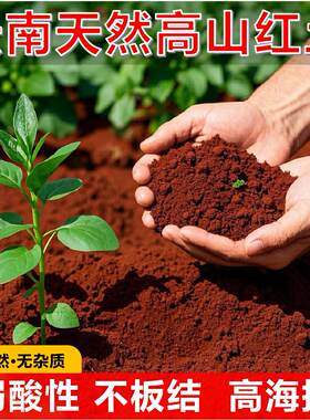 云南红土弱酸性小颗粒营养土花种土茶花茉莉花桂花养龟兰花专用土