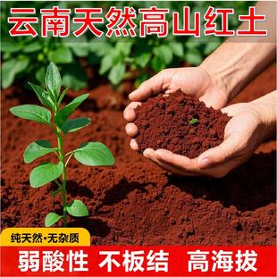 云南红土弱酸性小颗粒营养土花种土茶花茉莉花桂花养龟兰花专用土