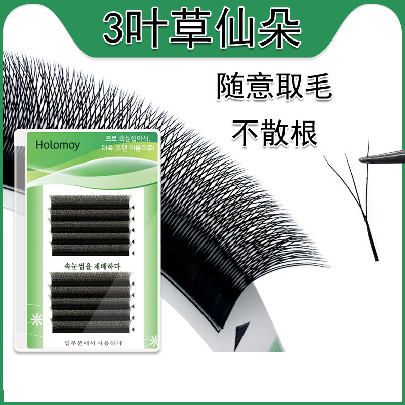 三叶草睫毛嫁接柔软3D开花