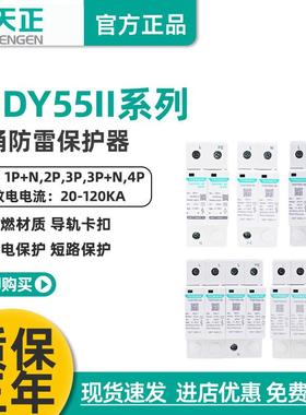天正TGDY55II浪涌电涌保护器2P4P防雷避雷器20KA40KA二级380V家用