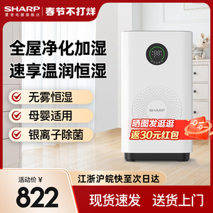 夏普sharp家用冷蒸发大容量大面积无雾加湿器办公室卧室T80Z-W