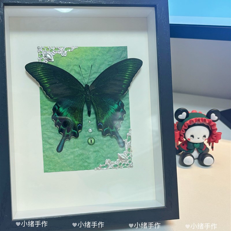 真蝴蝶标本夏型绿带翠凤蝶摆件装饰挂画小众闺蜜情侣生日礼物送人