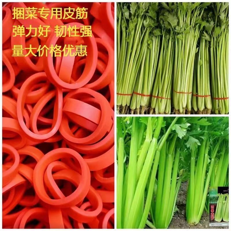 蔬菜橡皮筋鲜艳红色像皮筋红色橡皮筋像皮圈捆香椿芽捆各种蔬菜
