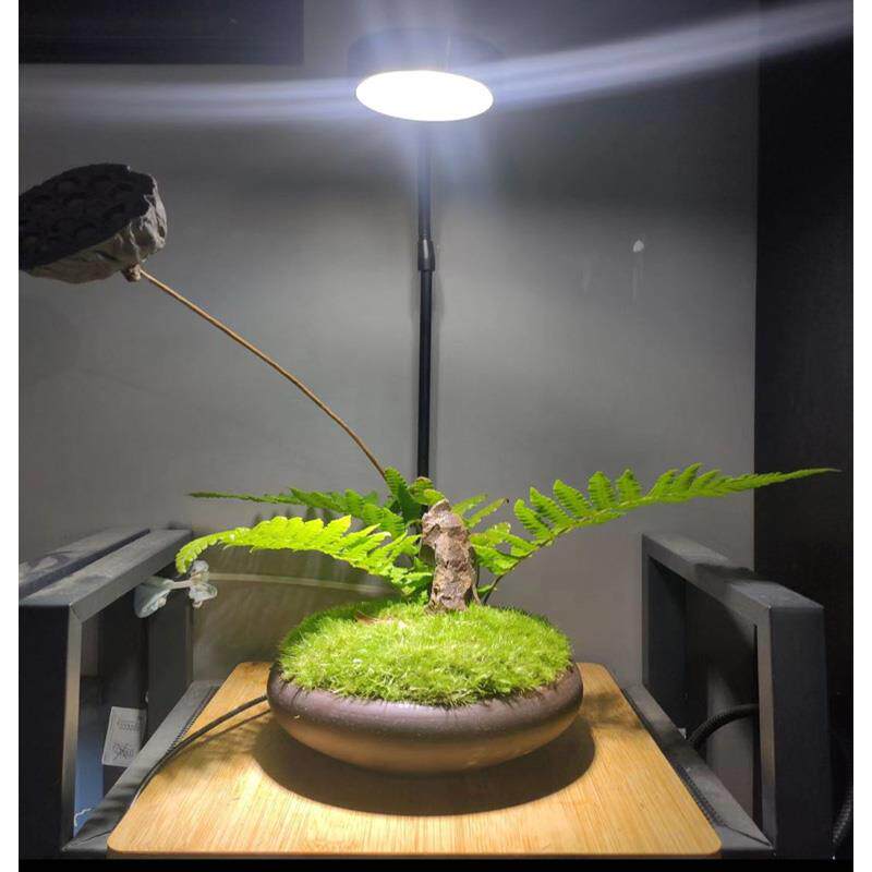 高显全光谱led竹板鱼缸灯微景观补光灯桌面水族缸射灯多肉植物灯