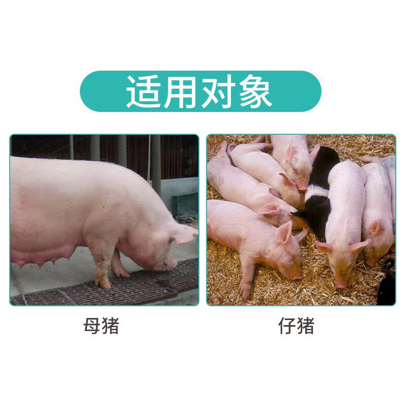 过奶止痢康兽用母猪母子安仔猪腹泻伤寒拉稀止痢停猪用止痢一撒停