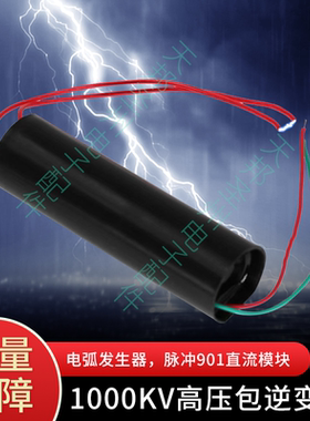 电弧脉冲高压发生器1000KV学生实验特斯拉线圈人造闪电电圈特斯拉