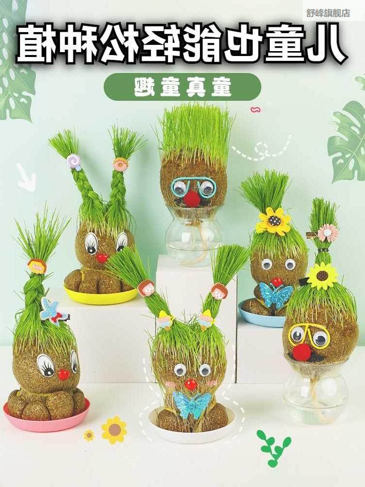 草头娃绿娃头生上观长草小人盆栽水培植物好养活植长头发儿童察长
