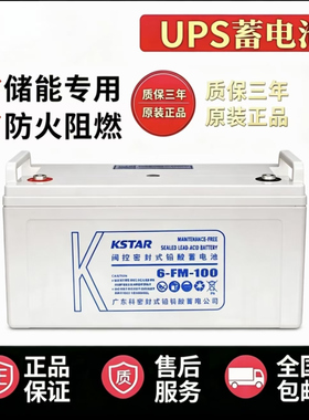 科士达UPS铅酸蓄电池12v100ah机房备用24ah38ah大容量150ah200ah