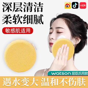 明星同款 魔芋洗脸扑深层清洁面高级美容院专用天然加大加厚海绵女