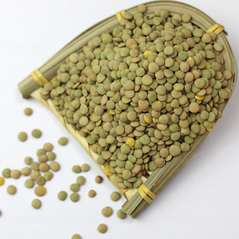 高天深粮山西右特产有机小扁豆子兵豆五谷杂粮粗粮豆类扁豆420g