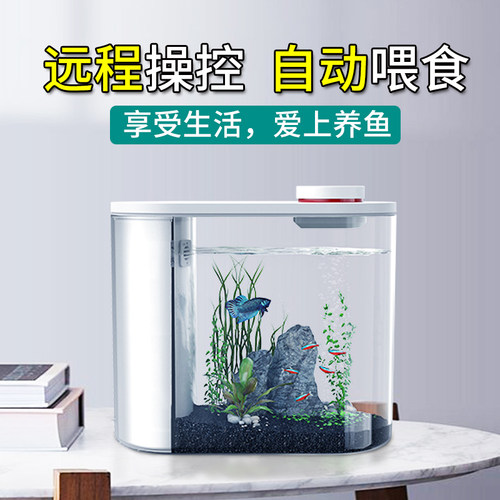 小鱼未来免换水客厅桌面生态鱼缸