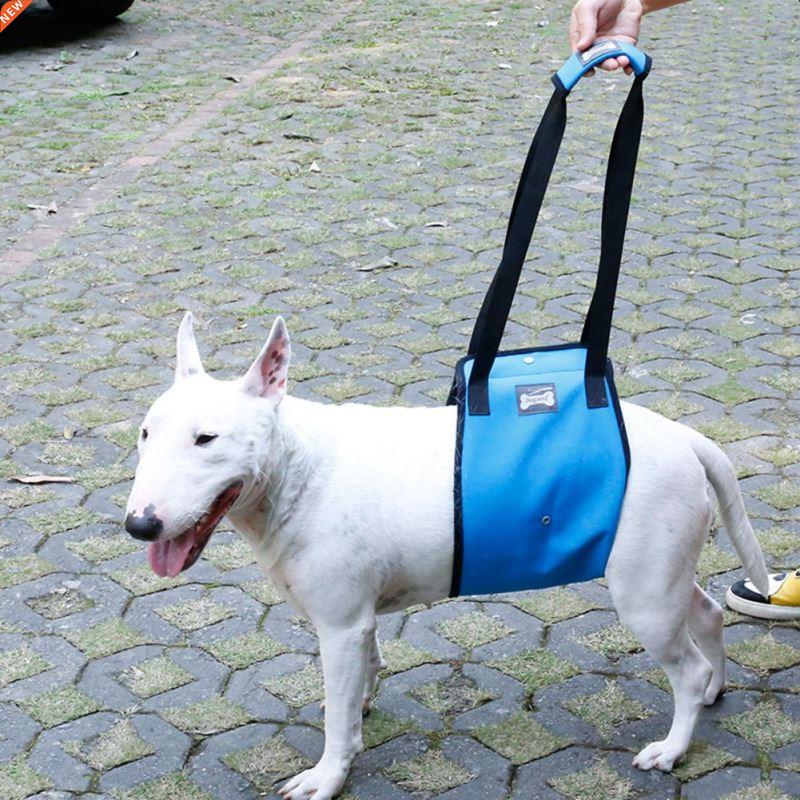 Dog Harnesses Pets Lifting Support Vest Old Injured Dogs Wal