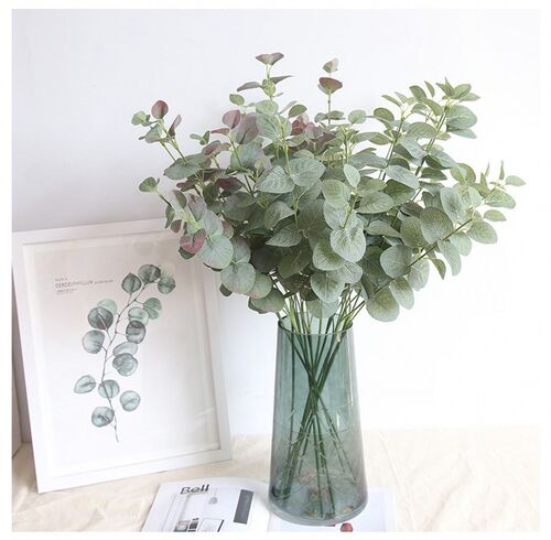 Nordic long-branched eucalyptu leaf money leaf simulation