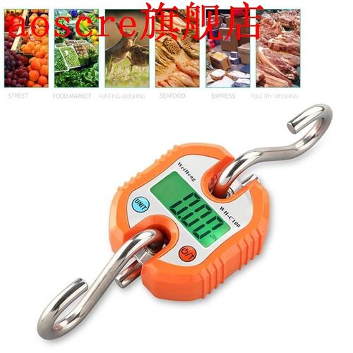 150kg x 50g Portable Mini Heavy Duty Electronic Digital Hook