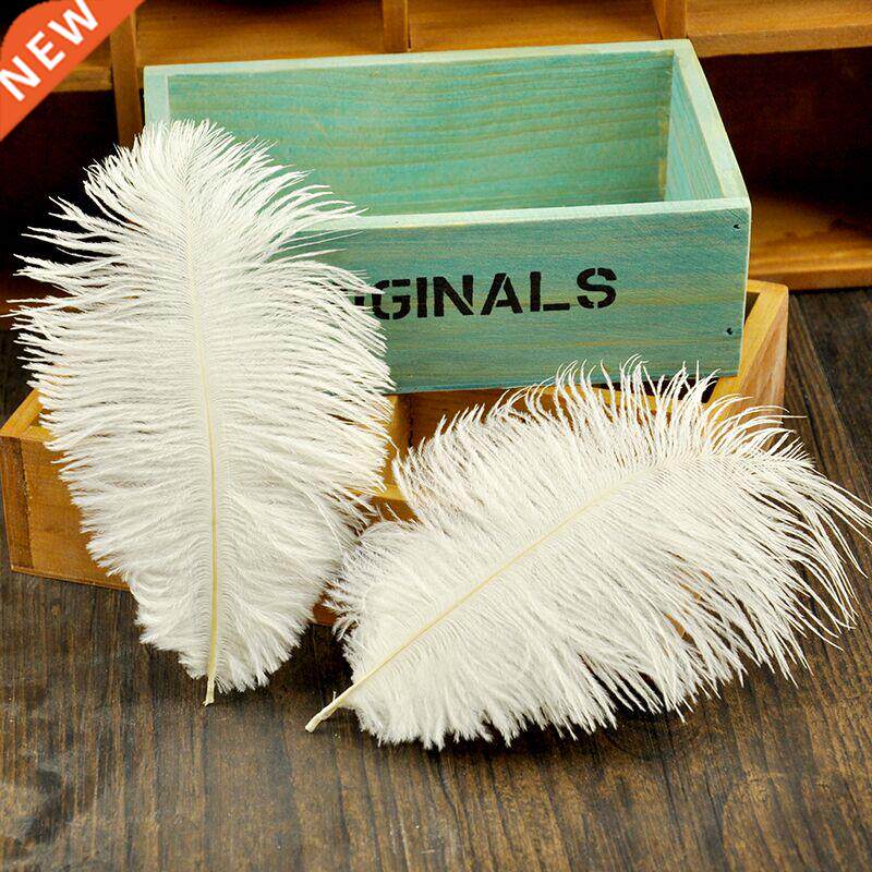 White Pink Grey High Quality Ostrich Feathers Photography Ac图片