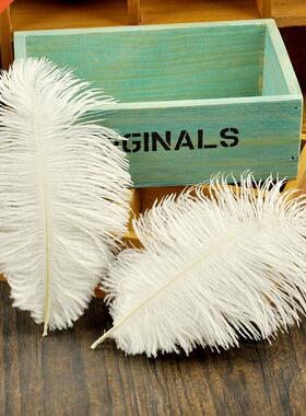 White Pink Grey High Quality Ostrich Feathers Photography Ac