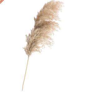 Free Shipping Dried Pampas Grass Decor Wedding Flower Bunch