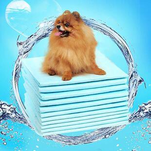 Super Absorbent Pet Diaper Dog Training Pee Pads Disposable