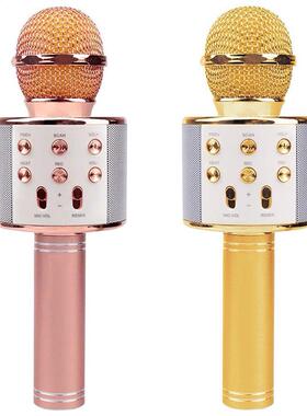 Karaoke Microphone, Two Pack Bluetooth Karaoke Player With F