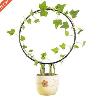 Metal Iron Plant Support Frame Stand Round Heart Shaped Plan