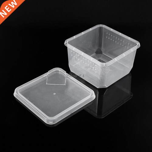Reptile Terrarium Fee Breeding Box Tortoise Spi Lizard