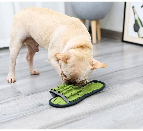 Dog Chew Toys Teeth Cleaning Molar Slipper Design Pet Toys