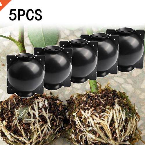 1/5pc Plant Rooting Ball Grafting Rooting Growing Box Breedi