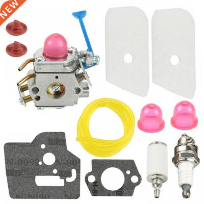 Carburetor Gaskets Filter Spark Plug Oil tube Check Valves F